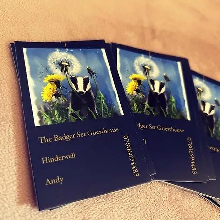 The Badger Set Hinderwell