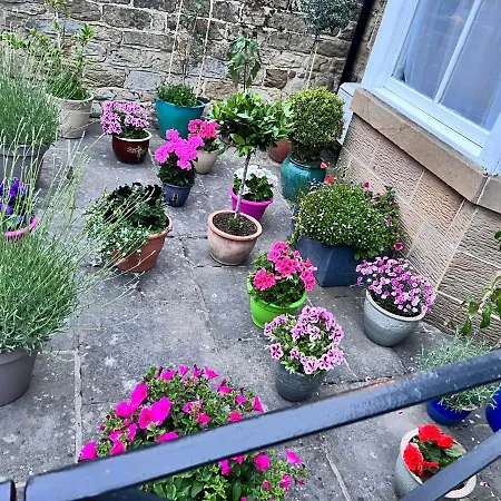 The Badger Set Pansiyon Hinderwell