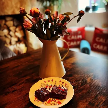 The Badger Set Pansiyon Hinderwell