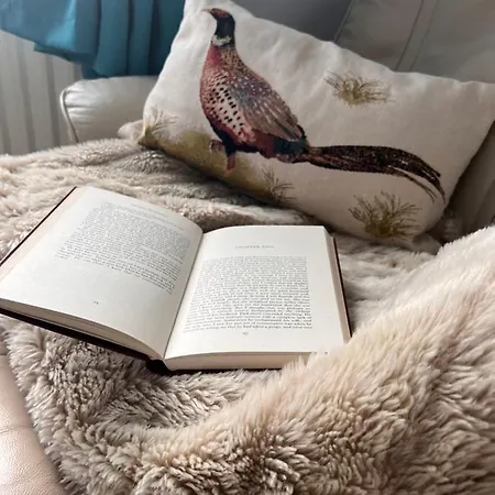 Pansiyon The Badger Set *